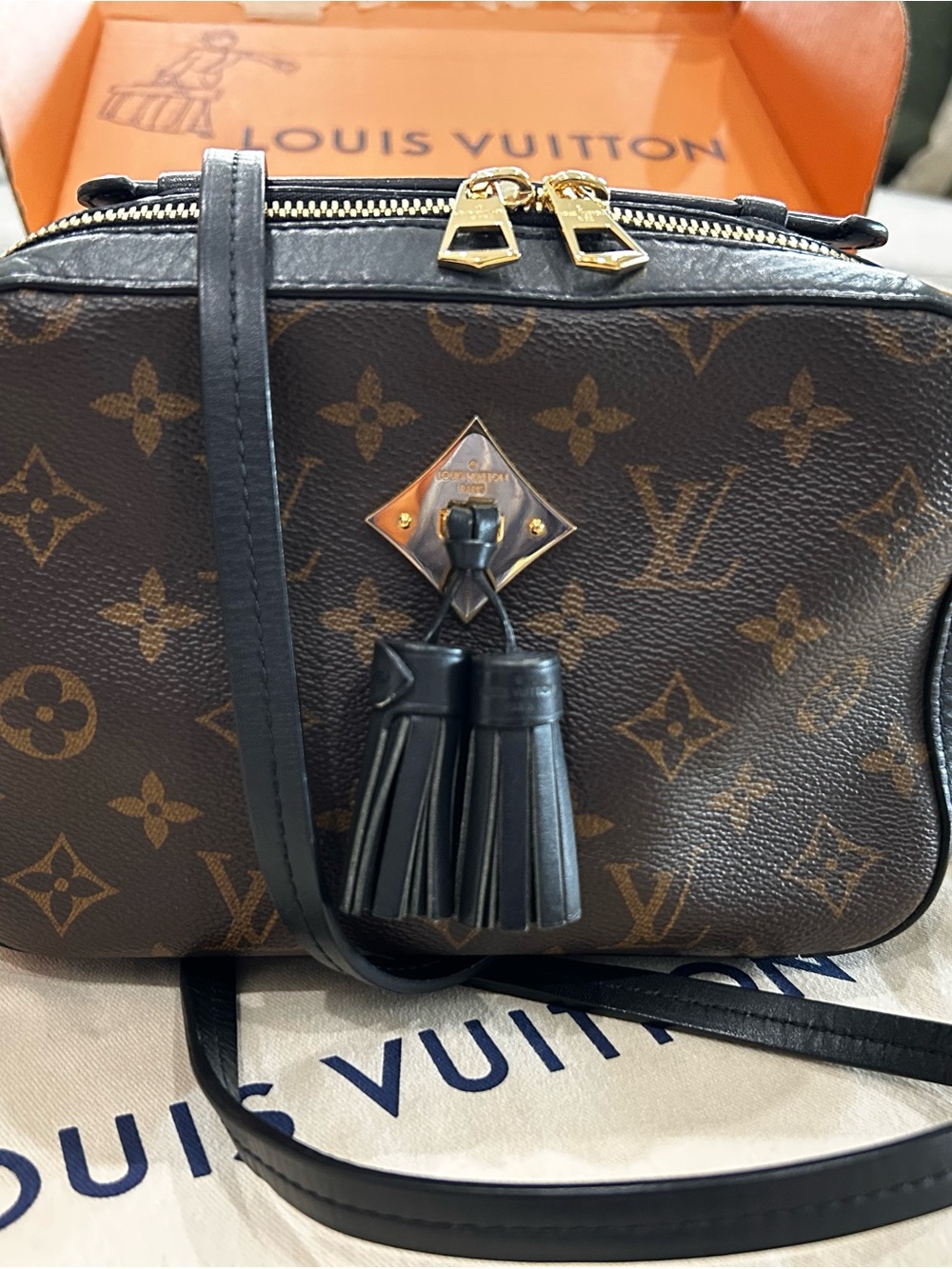 Louis Vuitton LV Saintonge Monogram Mini Crossbody